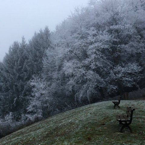 Cold